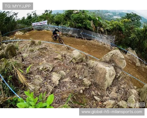 骑士逆风翻盘能力升级!阿特金森赛中调整亮了 骑士逆风翻盘能力升级!阿特金森赛中调整亮了