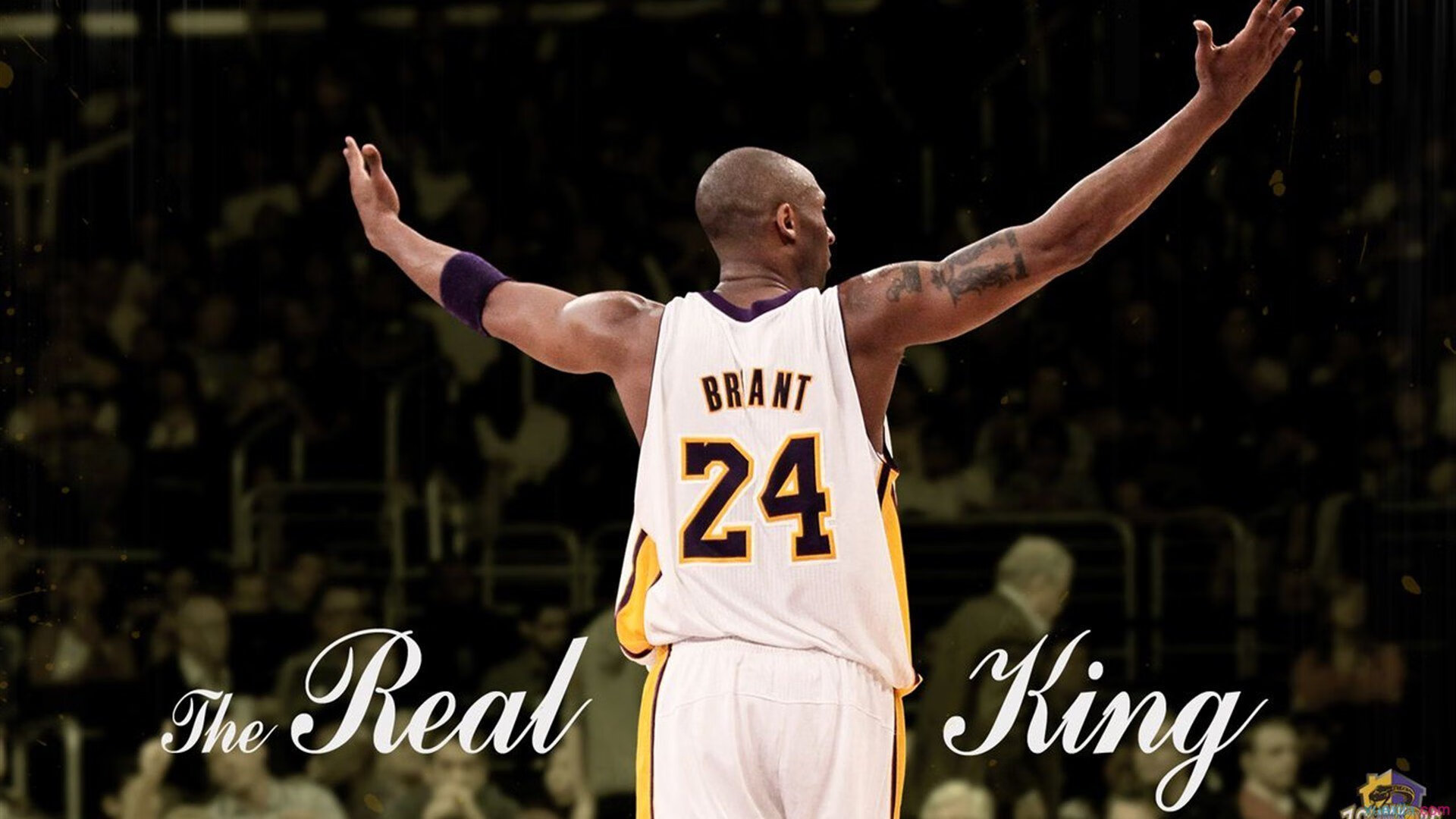 体育品牌发布新一代智能运动手表,运动智能手表品牌排行榜前十名